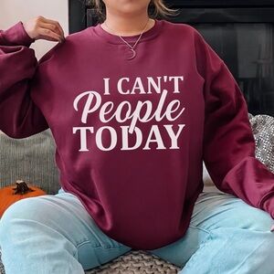 NEW Introvert Sweatshirt, Funny Introvert Sweatshirts